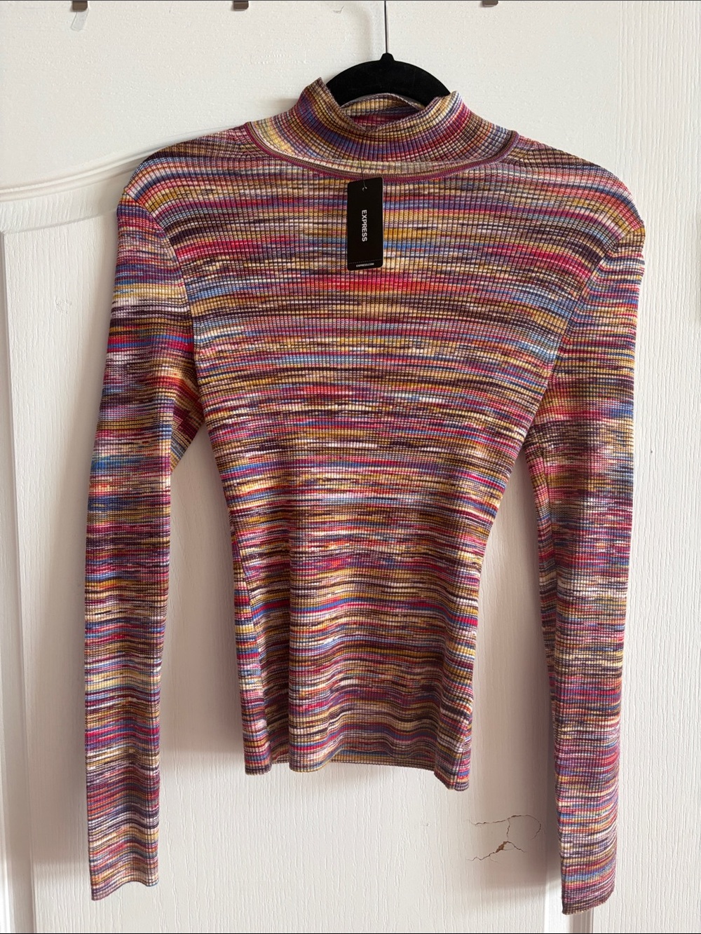 Express Multicolor Ribbed Turtleneck Long Sleeve Top